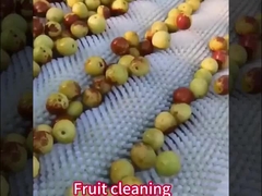 Προσαρμοσμένη βούρτσα κυλίνδρων νάιλον με/χωρίς άξονα για βιομηχανική μηχανή απολέπισης πατάτας